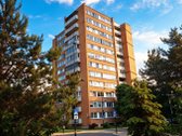 Parduodamas 1 Kambario Butas Naujamiestyje – - nuotraukos Nr. 8