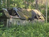 Parduodama apleista sodyba su žemės ūkio - nuotraukos Nr. 8