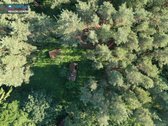 Parduodama apleista sodyba su žemės ūkio - nuotraukos Nr. 6