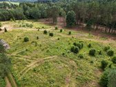 Parduodamas 1,97 ha sklypas miško apsuptyje, - nuotraukos Nr. 2