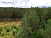 Parduodamas 1,97 ha sklypas miško apsuptyje, - nuotraukos Nr. 5