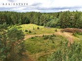 Parduodamas 1,97 ha sklypas miško apsuptyje, - nuotraukos Nr. 6