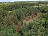 Parduodamas 1,97 ha sklypas miško apsuptyje, - nuotraukos Nr. 9