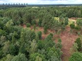 Parduodamas 1,97 ha sklypas miško apsuptyje, - nuotraukos Nr. 10