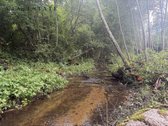 Parduodamas 1,97 ha sklypas miško apsuptyje, - nuotraukos Nr. 11
