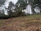 Parduodamas 1,97 ha sklypas miško apsuptyje, - nuotraukos Nr. 17