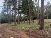 Parduodamas 1,97 ha sklypas miško apsuptyje, - nuotraukos Nr. 21