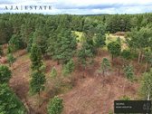 Parduodamas 1,97 ha sklypas miško apsuptyje, - nuotraukos Nr. 8