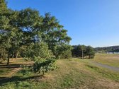 For sale – a land plot (24 a.) on the shore - nuotraukos Nr. 5