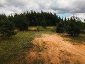 Parduodamas namų valdos sklypas su vieno - nuotraukos Nr. 14