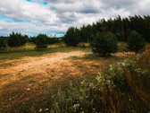 Parduodamas namų valdos sklypas su vieno - nuotraukos Nr. 15