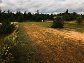 Parduodamas namų valdos sklypas su vieno - nuotraukos Nr. 16
