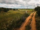 Parduodamas namų valdos sklypas su vieno - nuotraukos Nr. 17