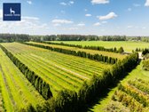 Parduodamas vienas didžiausių šilauogių ūkių - nuotraukos Nr. 5