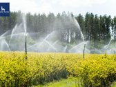 Parduodamas vienas didžiausių šilauogių ūkių - nuotraukos Nr. 4