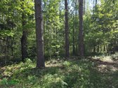 12 Ha Sklypas Su 200 Metrų Švento Ežero - nuotraukos Nr. 8