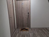 Puikiai Įrengti Apartamentai Aleksote Su - nuotraukos Nr. 23