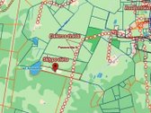 Ramiame gamtos kraštelyje, miško apsuptyje su - nuotraukos Nr. 9