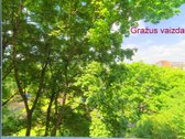 Labai geroje Šnipiškių rajono vietoje - nuotraukos Nr. 10