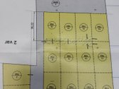 Didieji Gulbinai sparčiai besivystantis - nuotraukos Nr. 11