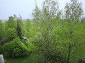 Numojamas Jaukus Ir Šviesus 1 Kambario Butas - nuotraukos Nr. 14