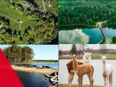 Parduodamas 3 kambarių butas netoli Asvejos - nuotraukos Nr. 13