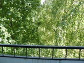 Vilniaus m. sav., Vilniaus m., Lazdynai - nuotraukos Nr. 5