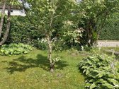 Parduodamas jaukus ir prižiūrėtas sklypas su - nuotraukos Nr. 3