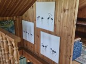 Parduodamas jaukus ir prižiūrėtas sklypas su - nuotraukos Nr. 13
