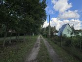 Prienų rajone, Papilvio kaime, Narcizų - nuotraukos Nr. 13