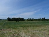 Parduodamas 4,72 ha žemės ūkio paskirties - nuotraukos Nr. 6