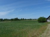 Parduodamas 4,72 ha žemės ūkio paskirties - nuotraukos Nr. 7