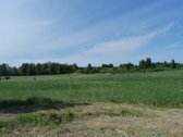 Parduodamas 4,72 ha žemės ūkio paskirties - nuotraukos Nr. 12
