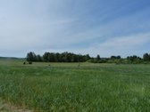 Parduodamas 4,72 ha žemės ūkio paskirties - nuotraukos Nr. 13