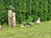 Parduodamas erdvus sodo sklypas su vasarnamiu - nuotraukos Nr. 20