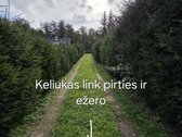 Parduodamas Namų Valdos Sklypas Ant Zaraso - nuotraukos Nr. 11