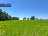 Parduodami 0,48 Ha Namų Valdos Ir 2,4 Ha - nuotraukos Nr. 14