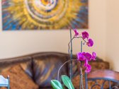 **Parduodamas 184 m² gyvenamasis namas - nuotraukos Nr. 12