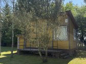 Parduodami 3 sodo sklypai. Utenos r. Sav. - nuotraukos Nr. 8