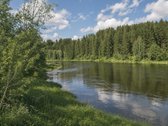 Neries Regioniniame Parke (Pelkių Kaime, - nuotraukos Nr. 3
