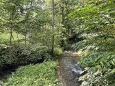 Išskirtinėje vietoje - Aukštadvario - nuotraukos Nr. 43