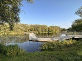 Mokyklos gatvėje priešais Trinyčių parką - nuotraukos Nr. 5