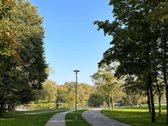 Mokyklos gatvėje priešais Trinyčių parką - nuotraukos Nr. 8