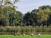 Mokyklos gatvėje priešais Trinyčių parką - nuotraukos Nr. 13