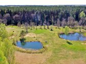 Parduodama išskirtinė sodyba vaizdingoje - nuotraukos Nr. 28