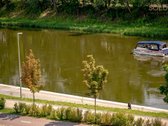 Apsigyvenus šiuose apartamentuose kasdien - nuotraukos Nr. 15