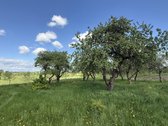 Parduodama Sodyba Vilniaus R., Paąžuolių K. - nuotraukos Nr. 3