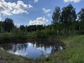 Parduodama Sodyba Vilniaus R., Paąžuolių K. - nuotraukos Nr. 9