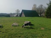Sklypas prie Skaisčio ežero, Trakų - nuotraukos Nr. 5