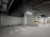 Sporto gatvėje, priešais įspūdingą Vilniaus - nuotraukos Nr. 8